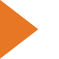 orange bullet
